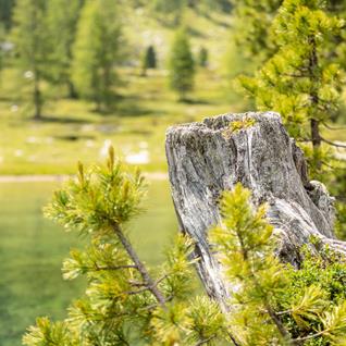 auszeit-hannes-fanes-2018-druck-0303-1440