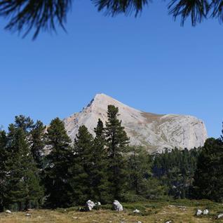 ccef86bf-1576-4036-af5c-f5ace4a5ae0e