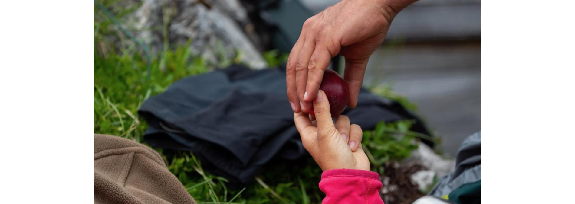 01-angebote-coaching-tools-0